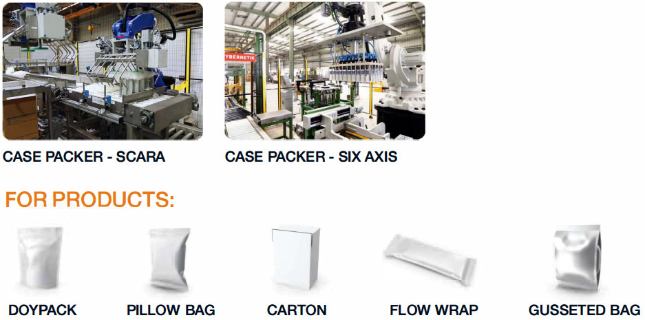 case packing for bags cartons flow wrap